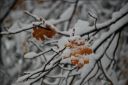 DSC_0038.JPG