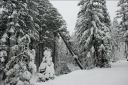 DSC_0040.JPG