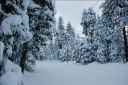 DSC_0045.JPG