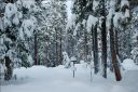DSC_0049.JPG